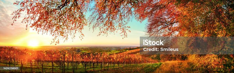 Header background image
