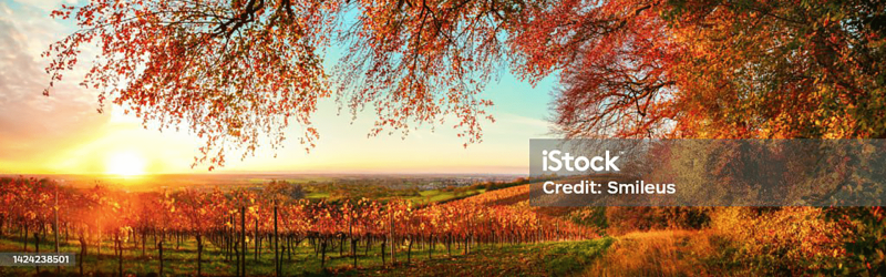 Header background image
